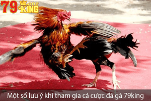 Đá gà 79king - Sân chơi uy tín hàng đầu Việt Nam